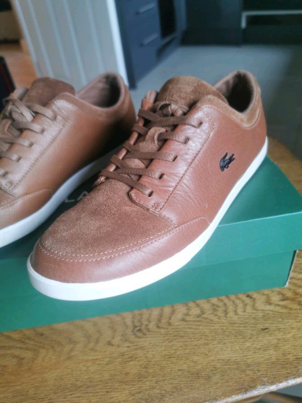 lacoste 8 size
